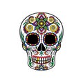 Mexican sugar skull with floral ornament, Day of the death vector Illustration