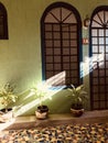Mexican Sunlight Lights up a Colorful Green Patio