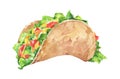 Mexican Taco with fresh vegetables. Traditional Mexican food.