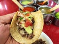 Mexican tacos - beef taco with cheese Royalty Free Stock Photo