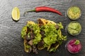Mexican tacos Royalty Free Stock Photo