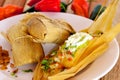 Mexican Tamale