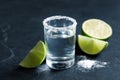 Mexican Tequila shot, lime slices and salt Royalty Free Stock Photo