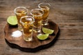 Mexican Tequila shots, lime and salt on table Royalty Free Stock Photo