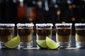 Mexican Tequila shots, lime slices and salt on bar counter Royalty Free Stock Photo