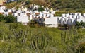 Mexican Village Cardon Cactus Sonoran Desert Baja Los Cabos Mexico