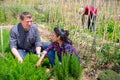 Mexican woman and man gardener working with greens