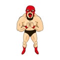Mexican wrestler in cartoon style, character