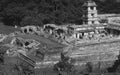 Mexico: the ancient maya temples of Palenque Royalty Free Stock Photo