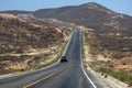 Mexico - Baja California, giant cactus by the road Royalty Free Stock Photo