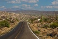 Mexico - Baja California, giant cactus by the road Royalty Free Stock Photo