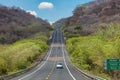 Mexico - Baja California, giant cactus by the road Royalty Free Stock Photo