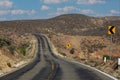 Mexico - Baja California, giant cactus by the road Royalty Free Stock Photo