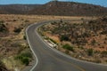 Mexico - Baja California, giant cactus by the road Royalty Free Stock Photo