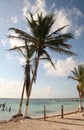 Mexico Beach Coastline