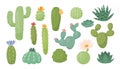 Mexico cactus terrarium, bloom succulent flowers. Natural prickly thorns, desert summer tropical plants, cute hand drawn