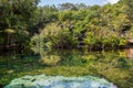 Mexico cenotes Yucatan