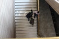 MEXICO CITY, MEXICO - February / 04 / 2017 artistic photo of people walking on white stairs