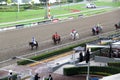 Mexico City, Mexico - July 22 2023: Hipodromo de las Americas is a racetrack where Horses compete and you can bet