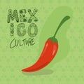 Mexico culture with chilli vector design