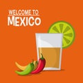 Mexico culture icons in flat design style, vector illustration Royalty Free Stock Photo