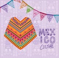 Mexico culture with poncho vector design