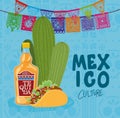 Mexico culture with tequila bottle taco and cactus vector design