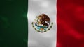 Mexican dense flag fabric wavers, background loop