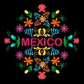 Mexico flowers, pattern and elements. Vector.