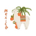 Mexico hand written lettering and lama with palm tree concept illustration for poster, banner, postcard, print for t-shirt etc