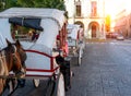 Mexico, Horse carriages waiting for tourists near Central Plaza Grande in Merida in front of Cathedral of Merida, the Royalty Free Stock Photo