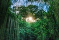 Mexico, Ik Kil Cenote near Merida Yucatan Peninsula in Archeological Park near Chichen Itza