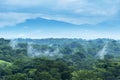 Mexico Jungle Landscape