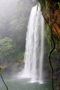 mexico palenque.waterfall Royalty Free Stock Photo