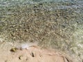 Mexico: Sand and stones from the shore