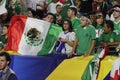 Mexico soccer fans