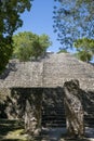 Mexico - Yucantan Peninsula - Calakmul - Structure VII - Towering Mayan Structure Royalty Free Stock Photo