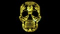 Mexicane skull video animiation laser