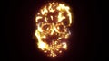 Mexicane skull video animiation laser