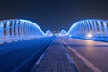 Meydan Bridge and street road or path way on highway with modern architecture buildings in Dubai Downtown at night, urban city at