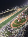 2018 Meydan Dubai World Cup