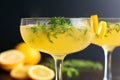 Meyer Lemon and Thyme Bees Knees Cocktails Royalty Free Stock Photo