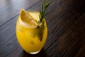 Meyer Lemonade with Rosemary and Vodka Royalty Free Stock Photo