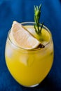 Meyer Lemonade with Rosemary and Vodka Royalty Free Stock Photo