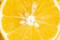 Meyer pulp slice texture - citrus fruit hybrid of lemon and orange