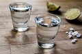 Mezcal Tequila Shots with Lime and Salt Royalty Free Stock Photo