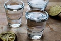 Mezcal Tequila Shots with Lime and Salt Royalty Free Stock Photo