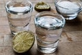 Mezcal Tequila Shots with Lime and Salt Royalty Free Stock Photo