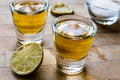 Mezcal Tequila Shots with Lime and Salt Royalty Free Stock Photo