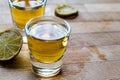 Mezcal Tequila Shots with Lime and Salt Royalty Free Stock Photo